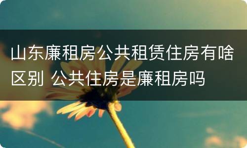 山东廉租房公共租赁住房有啥区别 公共住房是廉租房吗