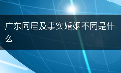 广东同居及事实婚姻不同是什么