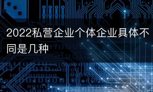 2022私营企业个体企业具体不同是几种