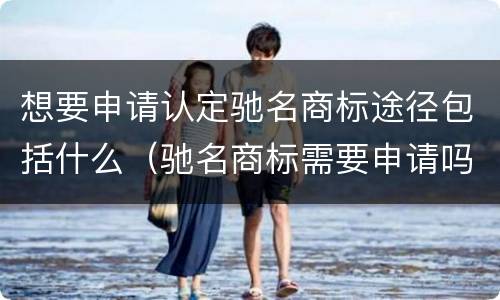 想要申请认定驰名商标途径包括什么（驰名商标需要申请吗）
