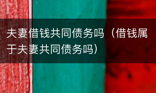 夫妻借钱共同债务吗（借钱属于夫妻共同债务吗）