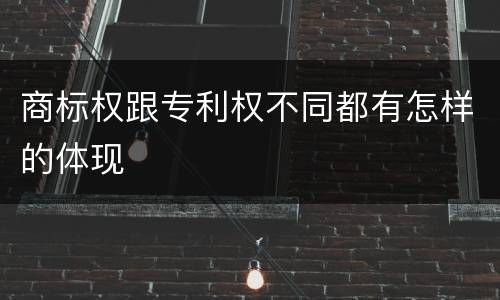 商标权跟专利权不同都有怎样的体现
