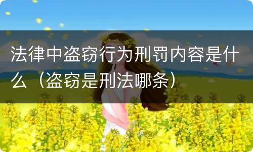 法律中盗窃行为刑罚内容是什么（盗窃是刑法哪条）