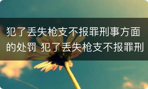 犯了丢失枪支不报罪刑事方面的处罚 犯了丢失枪支不报罪刑事方面的处罚标准