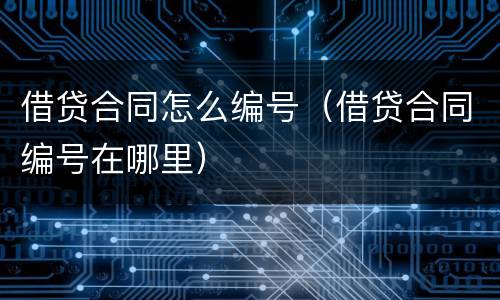 借贷合同怎么编号（借贷合同编号在哪里）