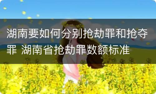 湖南要如何分别抢劫罪和抢夺罪 湖南省抢劫罪数额标准
