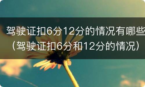 驾驶证扣6分12分的情况有哪些（驾驶证扣6分和12分的情况）