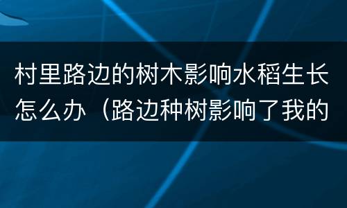 村里路边的树木影响水稻生长怎么办（路边种树影响了我的田地怎么办）