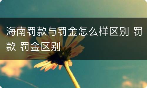 海南罚款与罚金怎么样区别 罚款 罚金区别