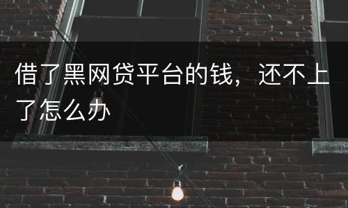 借了黑网贷平台的钱，还不上了怎么办