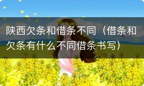 陕西欠条和借条不同（借条和欠条有什么不同借条书写）