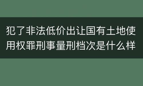 犯了非法低价出让国有土地使用权罪刑事量刑档次是什么样