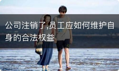 公司注销了,员工应如何维护自身的合法权益