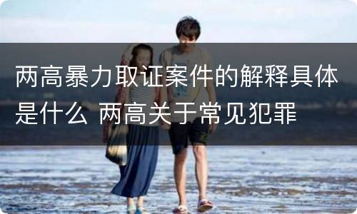 两高暴力取证案件的解释具体是什么 两高关于常见犯罪