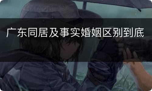 广东同居及事实婚姻区别到底