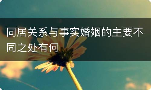 同居关系与事实婚姻的主要不同之处有何