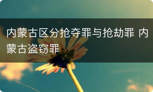 内蒙古区分抢夺罪与抢劫罪 内蒙古盗窃罪