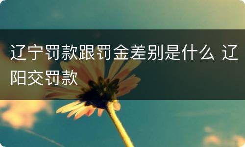 辽宁罚款跟罚金差别是什么 辽阳交罚款