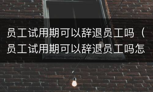 员工试用期可以辞退员工吗（员工试用期可以辞退员工吗怎么赔偿）