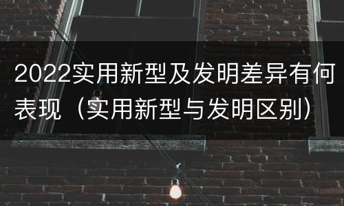 2022实用新型及发明差异有何表现（实用新型与发明区别）