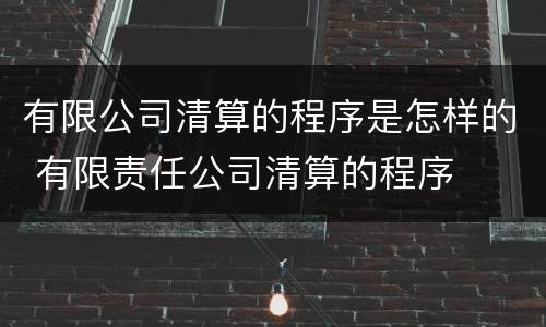 有限公司清算的程序是怎样的 有限责任公司清算的程序