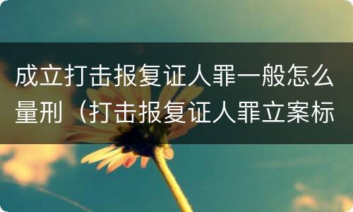 成立打击报复证人罪一般怎么量刑（打击报复证人罪立案标准）