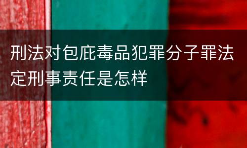 刑法对包庇毒品犯罪分子罪法定刑事责任是怎样