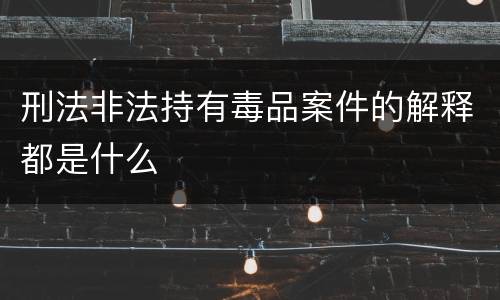 刑法非法持有毒品案件的解释都是什么
