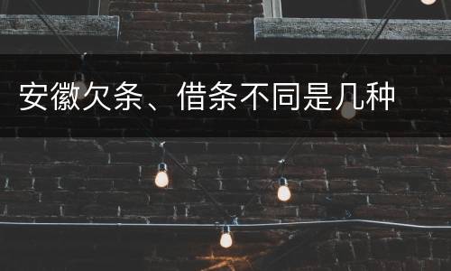 安徽欠条、借条不同是几种