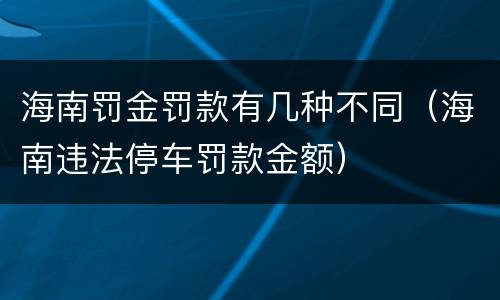 海南罚金罚款有几种不同（海南违法停车罚款金额）