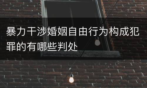 暴力干涉婚姻自由行为构成犯罪的有哪些判处