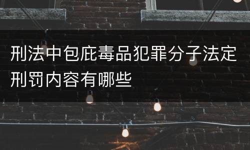 刑法中包庇毒品犯罪分子法定刑罚内容有哪些