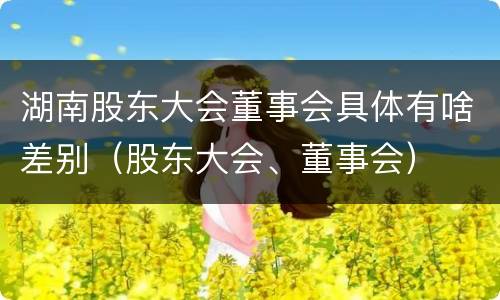湖南股东大会董事会具体有啥差别（股东大会、董事会）