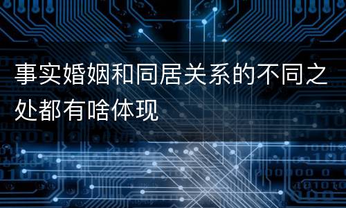 事实婚姻和同居关系的不同之处都有啥体现