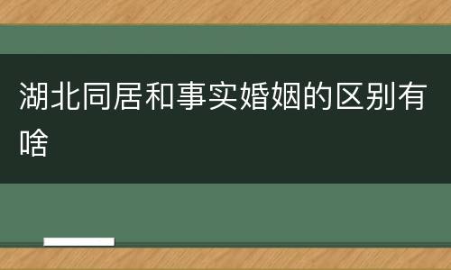湖北同居和事实婚姻的区别有啥