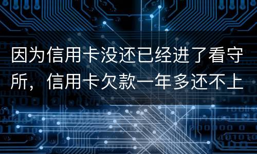 因为信用卡没还已经进了看守所，信用卡欠款一年多还不上怎么办