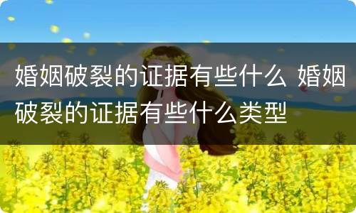 婚姻破裂的证据有些什么 婚姻破裂的证据有些什么类型