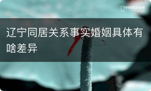 辽宁同居关系事实婚姻具体有啥差异