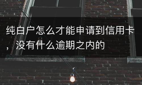 纯白户怎么才能申请到信用卡，没有什么逾期之内的