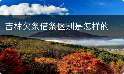 吉林欠条借条区别是怎样的