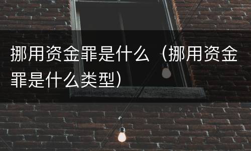 挪用资金罪是什么（挪用资金罪是什么类型）