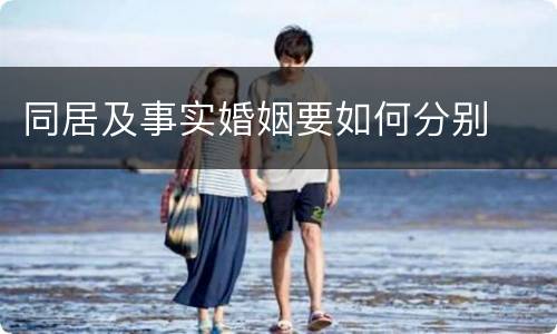 同居及事实婚姻要如何分别