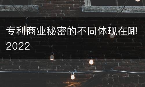 专利商业秘密的不同体现在哪2022