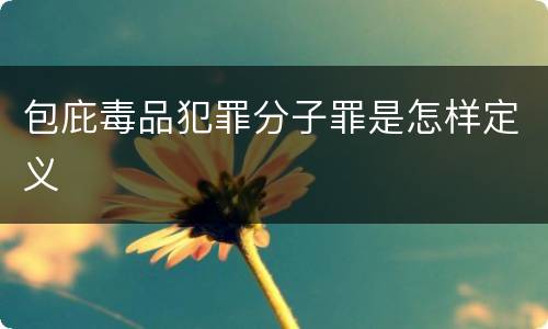 包庇毒品犯罪分子罪是怎样定义