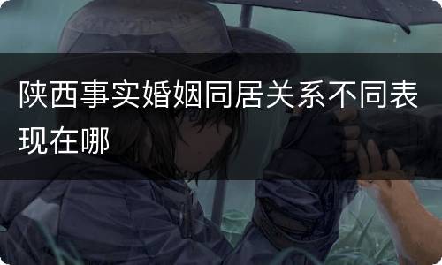 陕西事实婚姻同居关系不同表现在哪