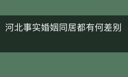 河北事实婚姻同居都有何差别