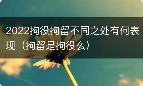 2022拘役拘留不同之处有何表现（拘留是拘役么）
