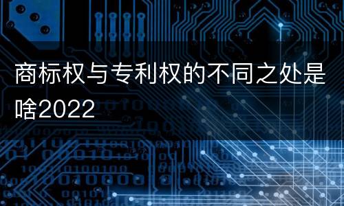 商标权与专利权的不同之处是啥2022