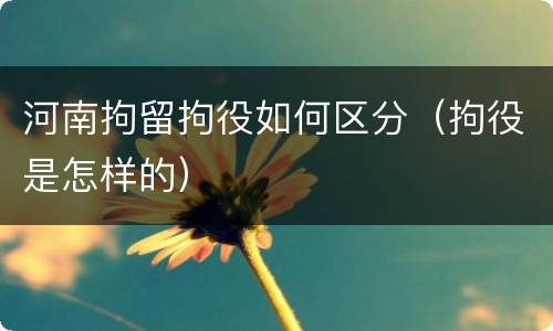 河南拘留拘役如何区分（拘役是怎样的）
