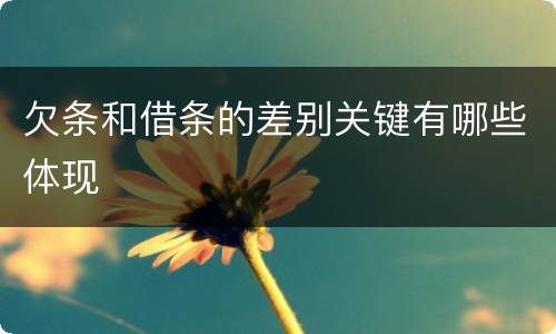 欠条和借条的差别关键有哪些体现